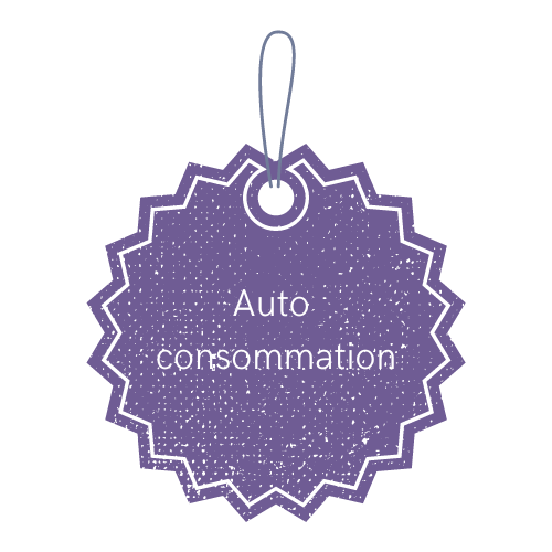 Convention auto consommation totale