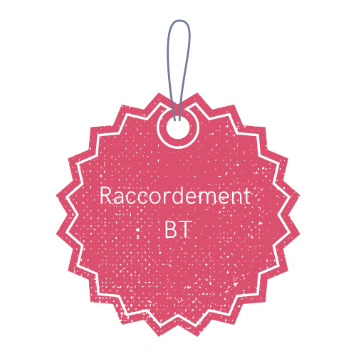 Raccordement individuel BT Conso <= 36 kVA